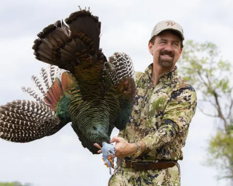 Hunter holding an ocellated turkey