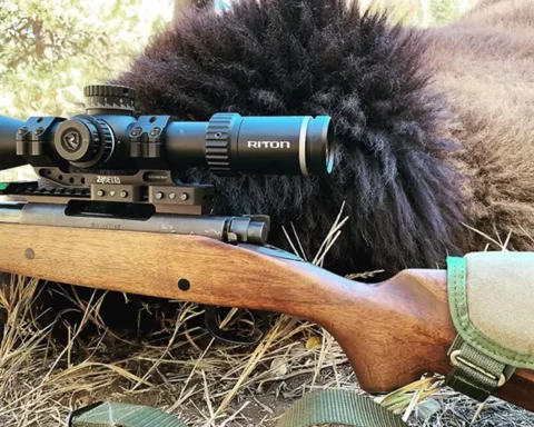hunting rifle laying next to a bison