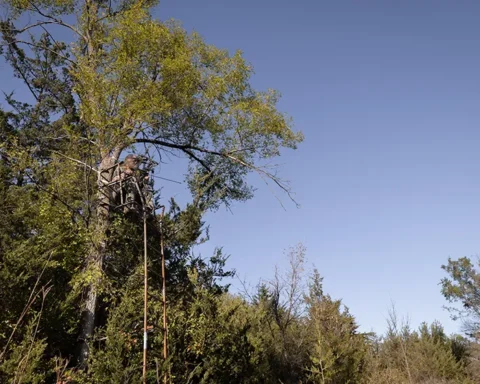 a bow hunter in a deer stand