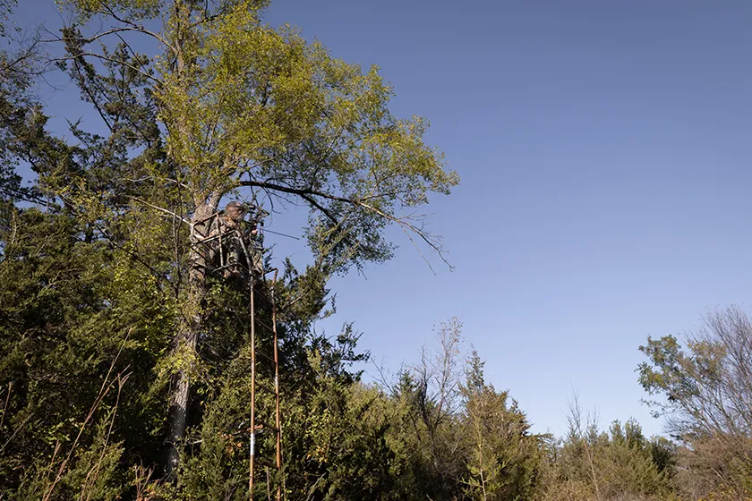 a bow hunter in a deer stand