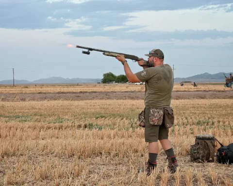 man firing a shotgun at doves