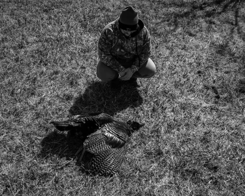 hunter looking at harvested turkey