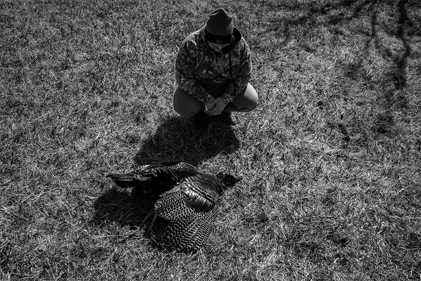 hunter looking at harvested turkey
