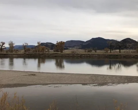 River with mountains in the background